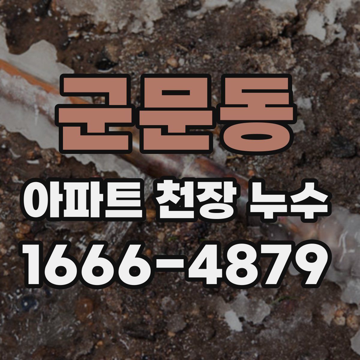 군문동 아파트 천장 누수