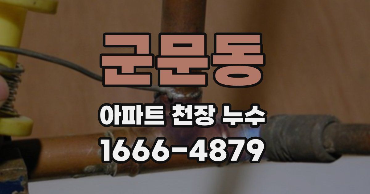 군문동 아파트 천장 누수