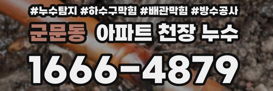 군문동 아파트 천장 누수