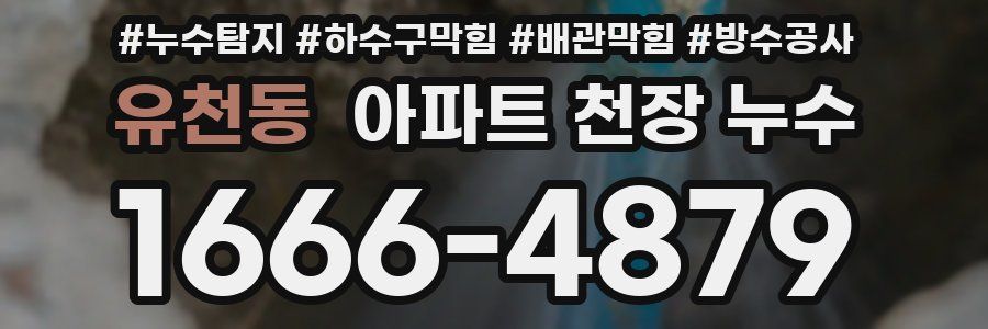 유천동 아파트 천장 누수