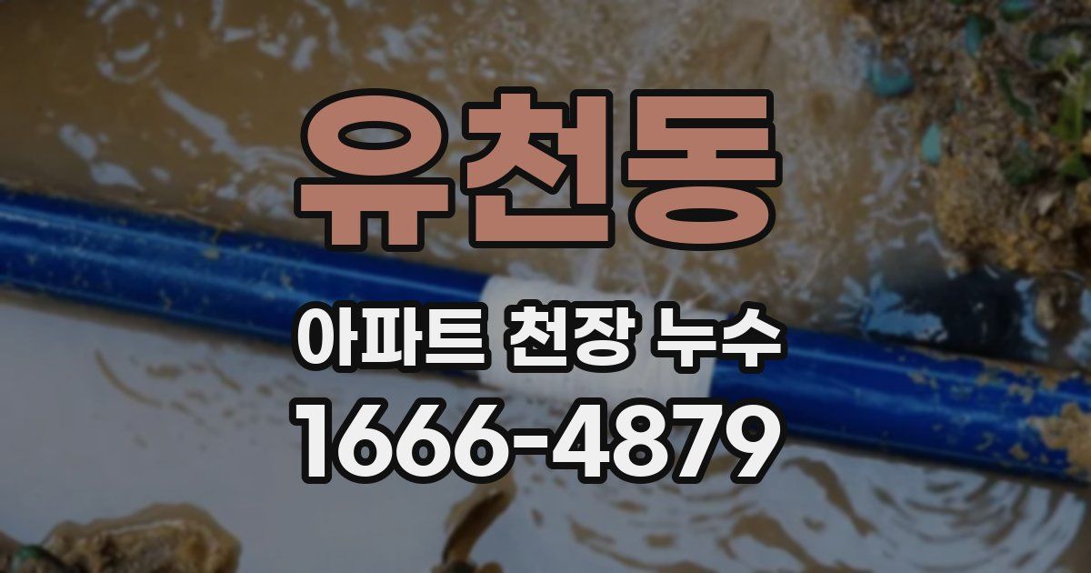 유천동 아파트 천장 누수