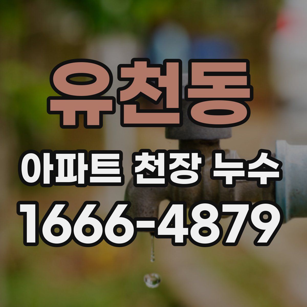 유천동 아파트 천장 누수