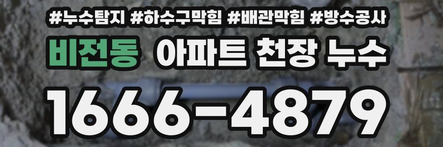 비전동 아파트 천장 누수