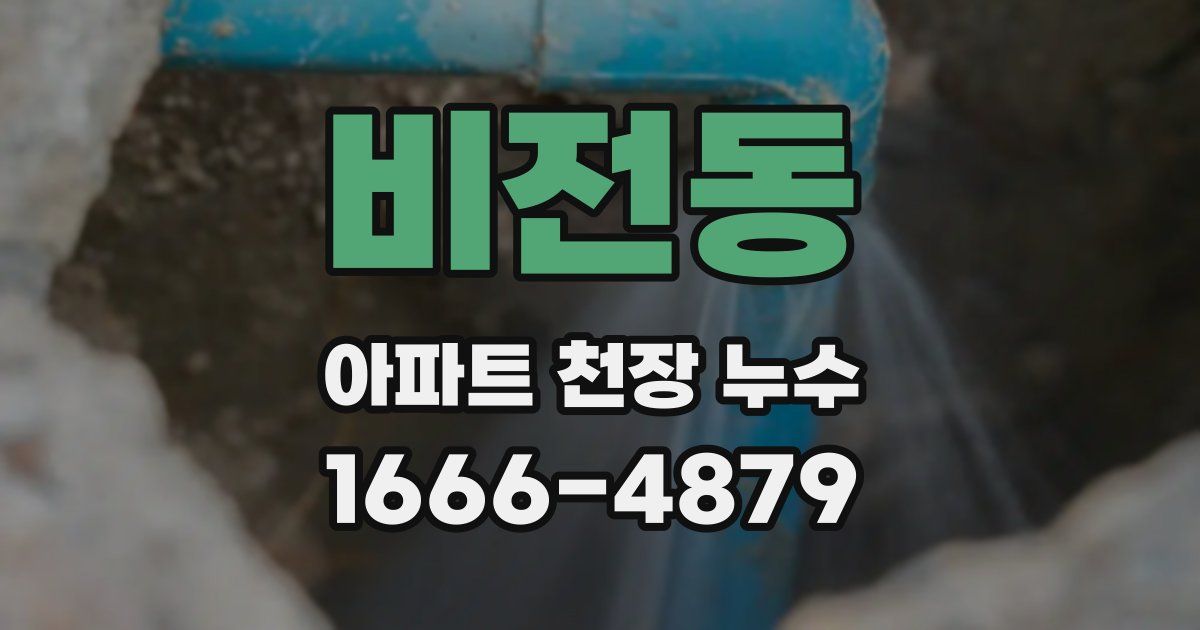 비전동 아파트 천장 누수
