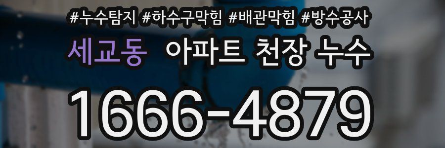 세교동 아파트 천장 누수