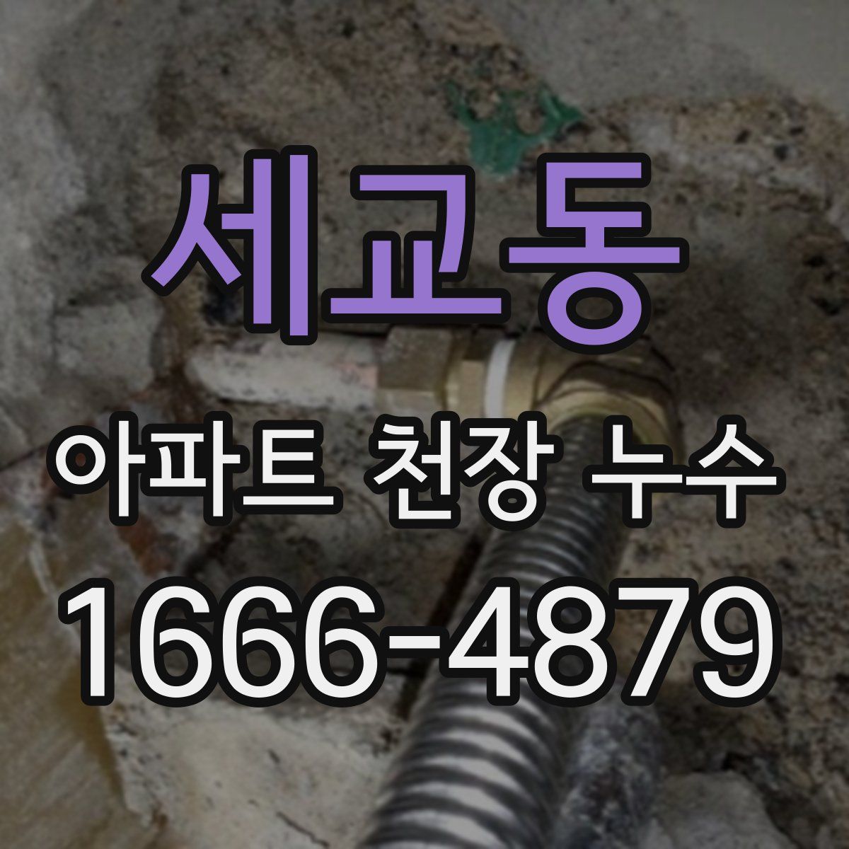 세교동 아파트 천장 누수