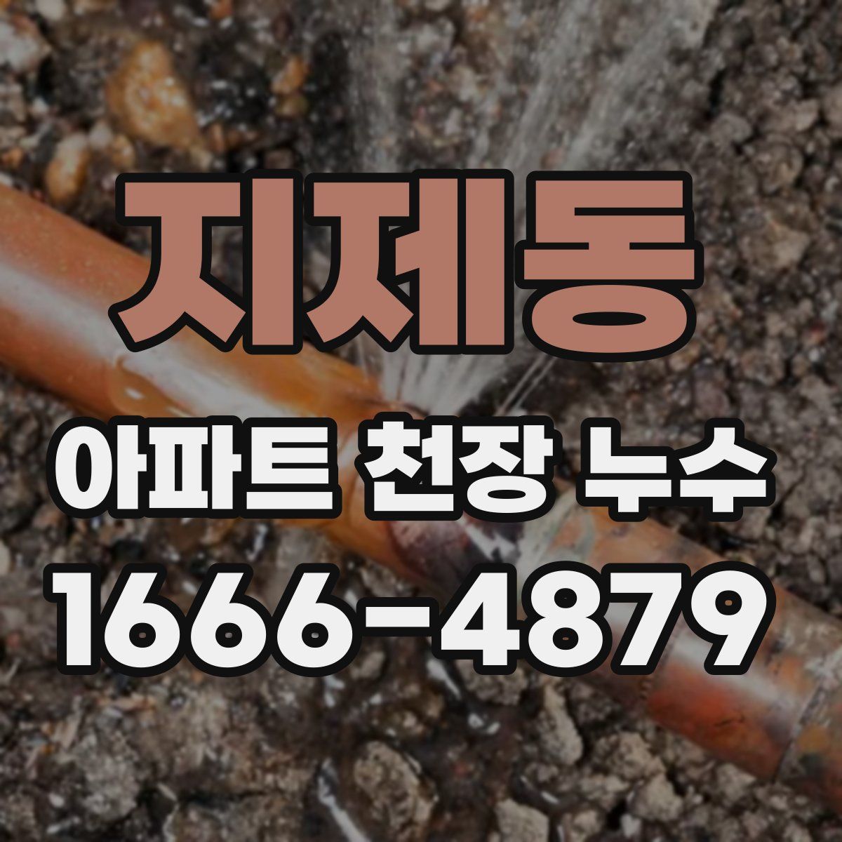 지제동 아파트 천장 누수