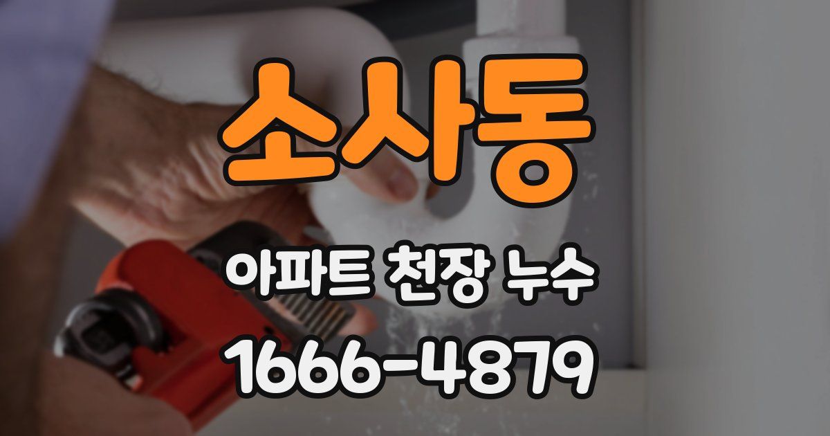 소사동 아파트 천장 누수