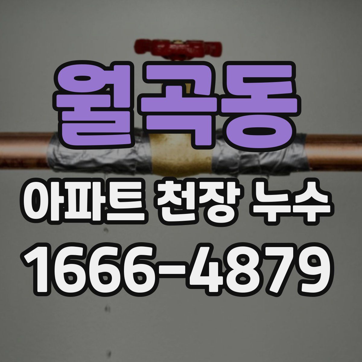 월곡동 아파트 천장 누수
