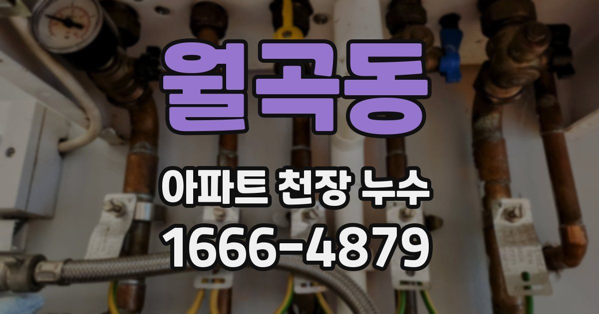 월곡동 아파트 천장 누수