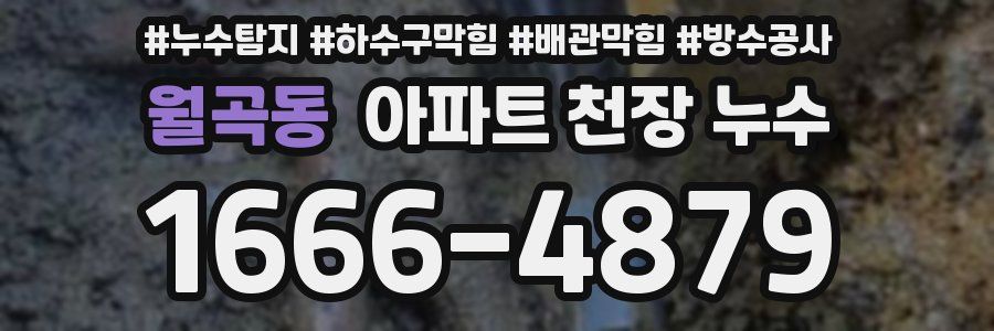 월곡동 아파트 천장 누수
