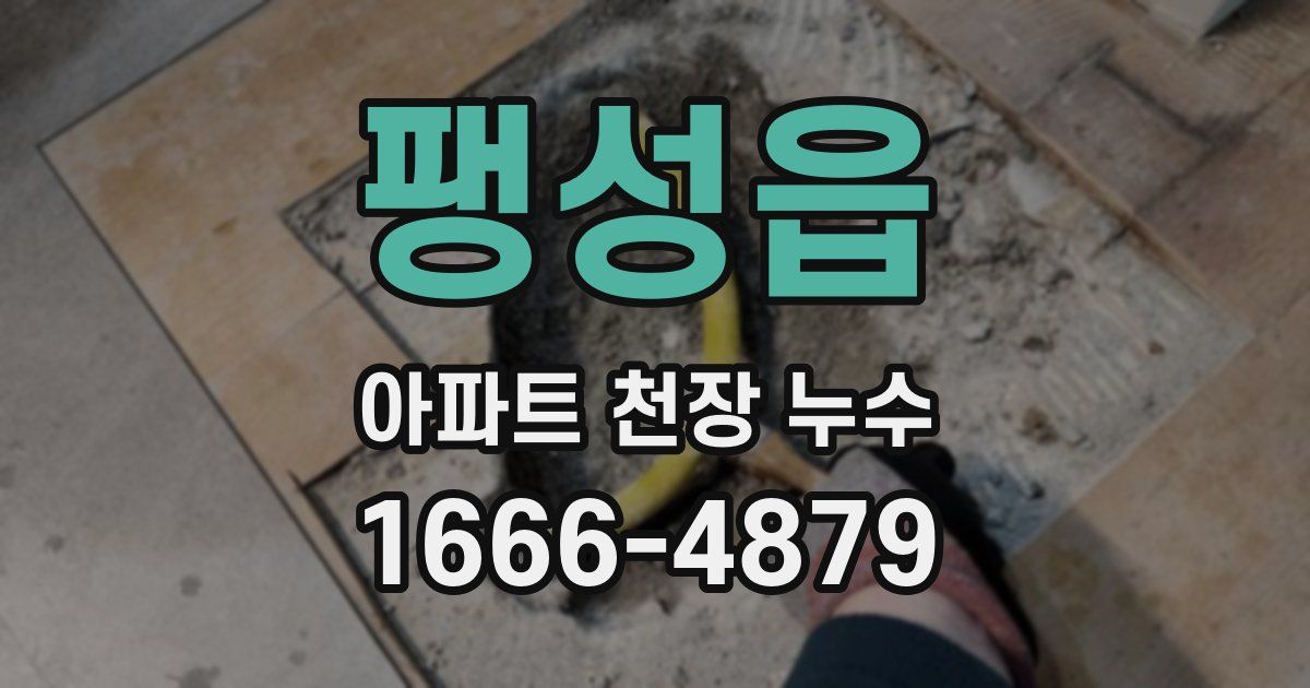 팽성읍 아파트 천장 누수