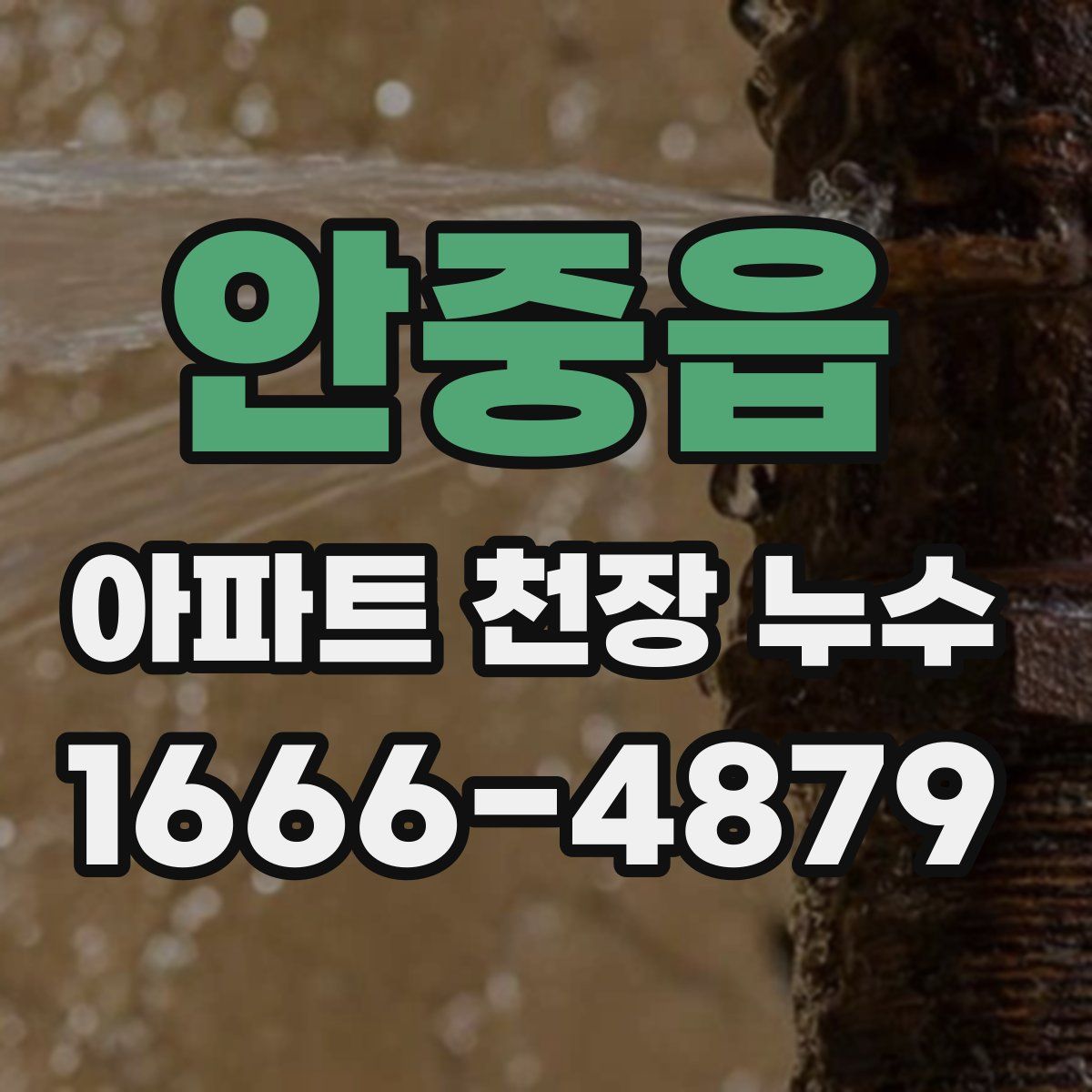 안중읍 아파트 천장 누수