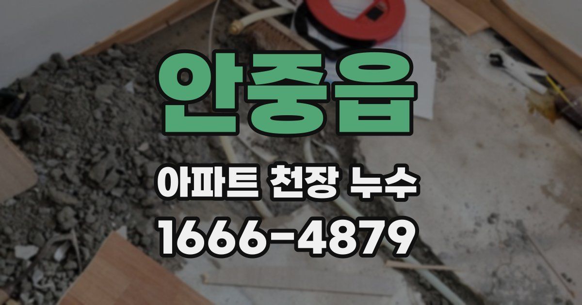 안중읍 아파트 천장 누수