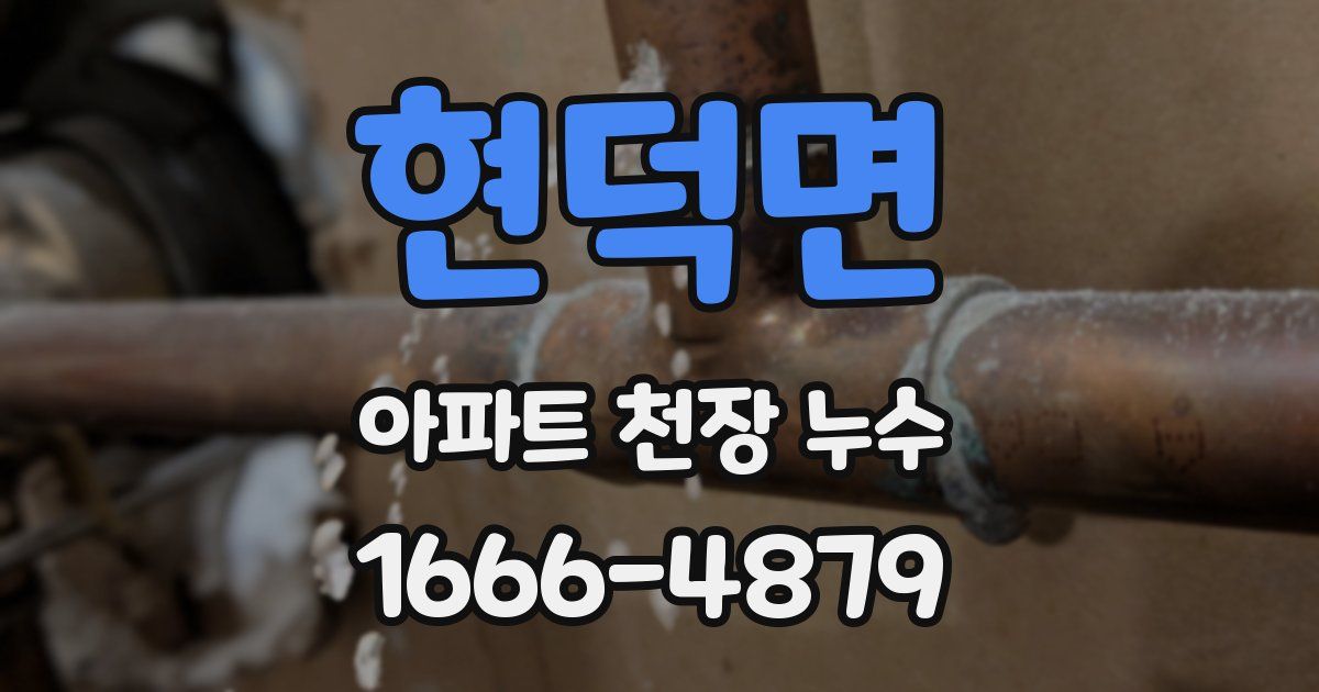 현덕면 아파트 천장 누수