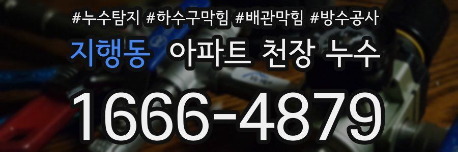 지행동 아파트 천장 누수