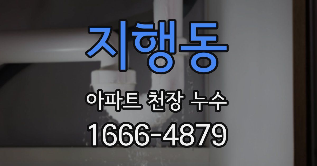 지행동 아파트 천장 누수
