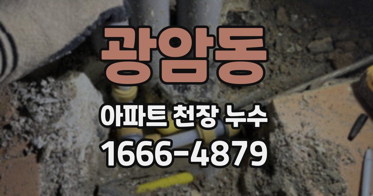 광암동 아파트 천장 누수