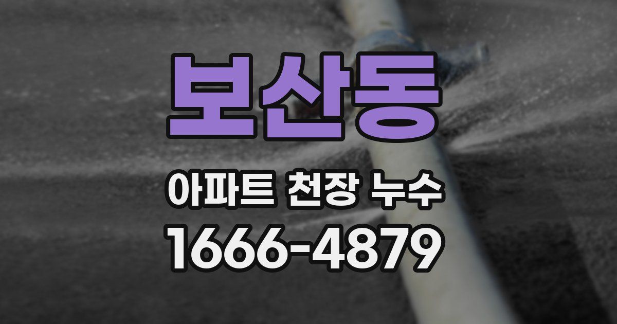 보산동 아파트 천장 누수