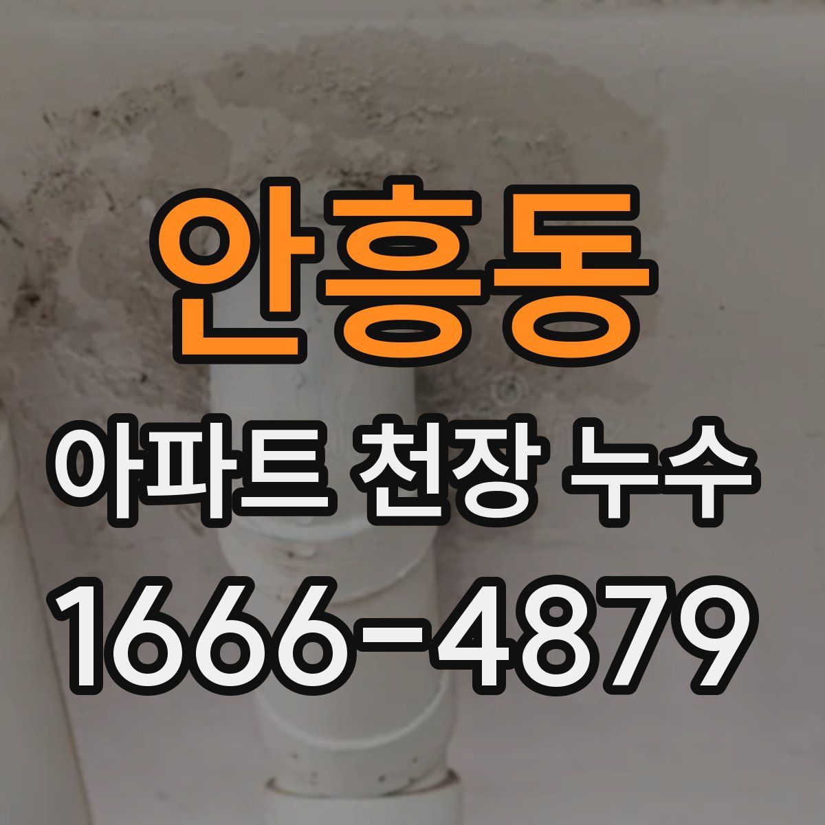안흥동 아파트 천장 누수