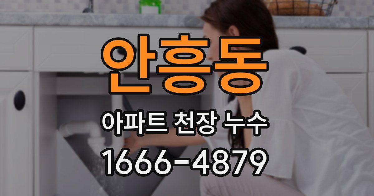 안흥동 아파트 천장 누수