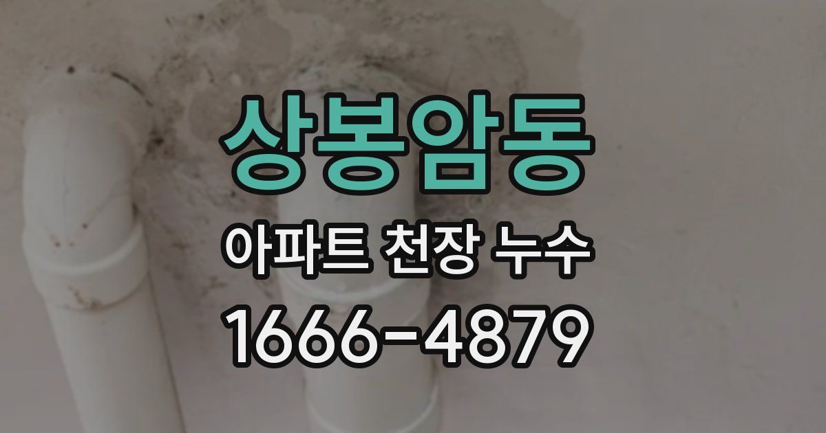 상봉암동 아파트 천장 누수