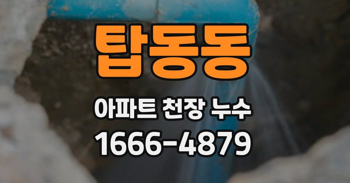 탑동동 아파트 천장 누수