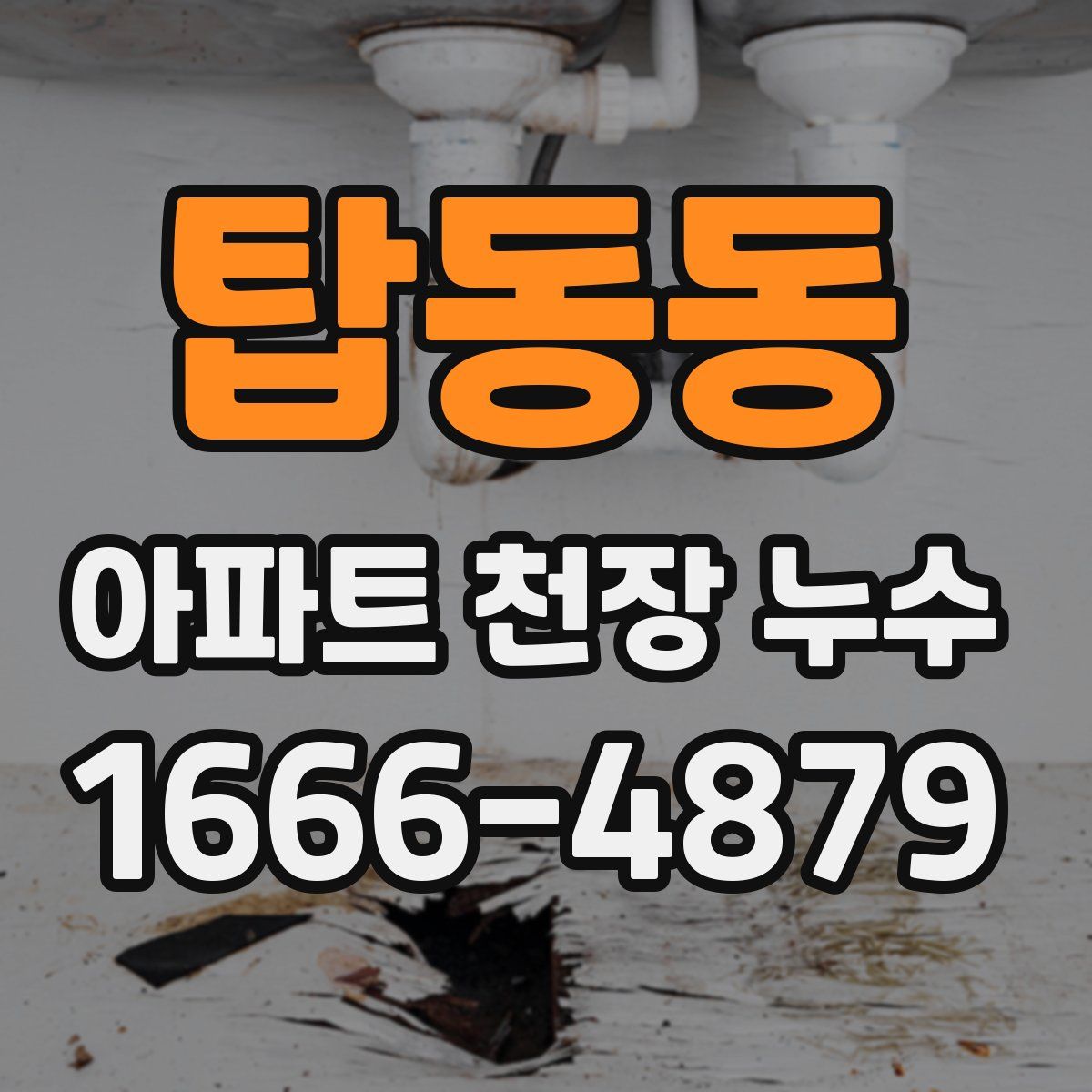 탑동동 아파트 천장 누수