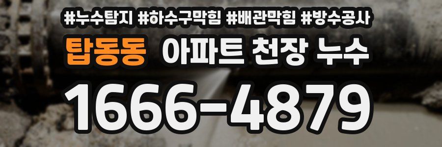 탑동동 아파트 천장 누수
