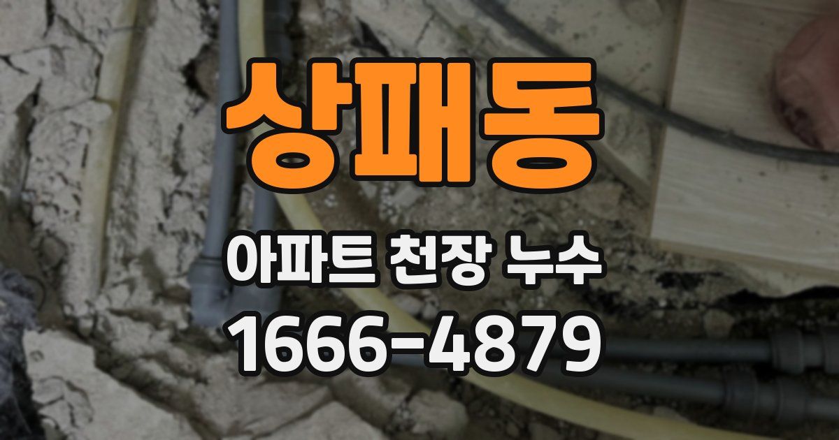 상패동 아파트 천장 누수