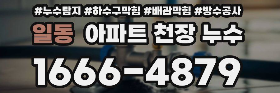 일동 아파트 천장 누수
