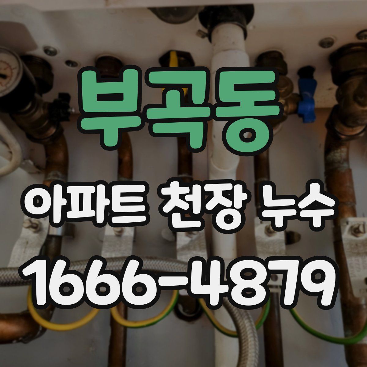 부곡동 아파트 천장 누수
