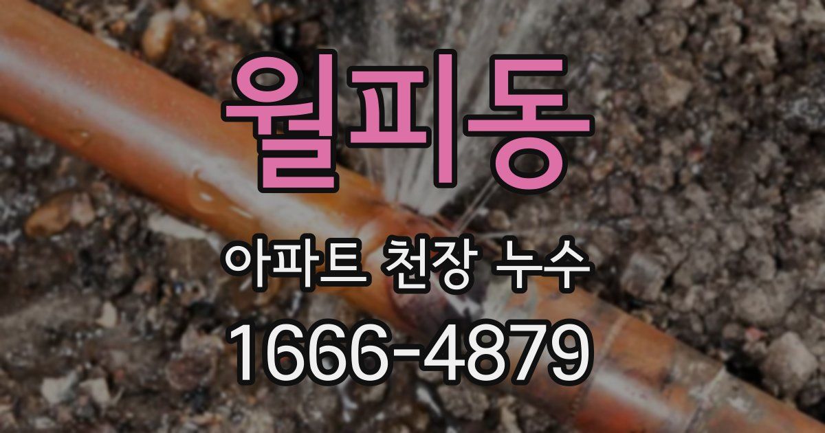 월피동 아파트 천장 누수