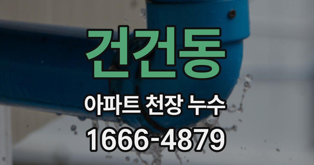 건건동 아파트 천장 누수