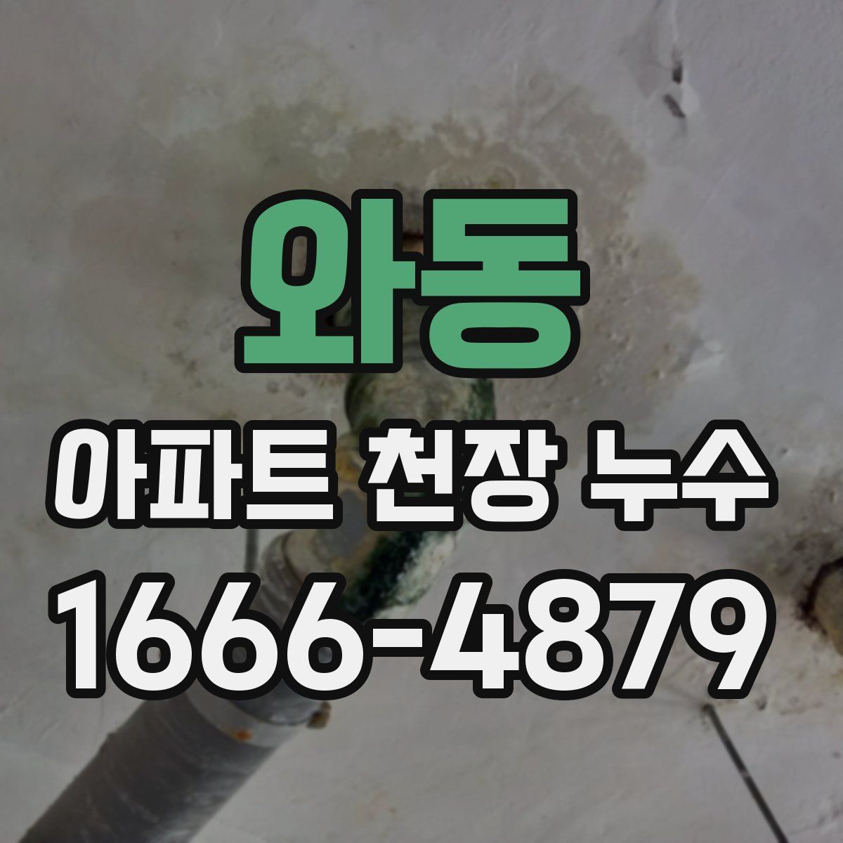 와동 아파트 천장 누수