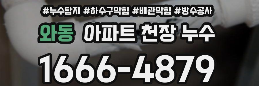 와동 아파트 천장 누수