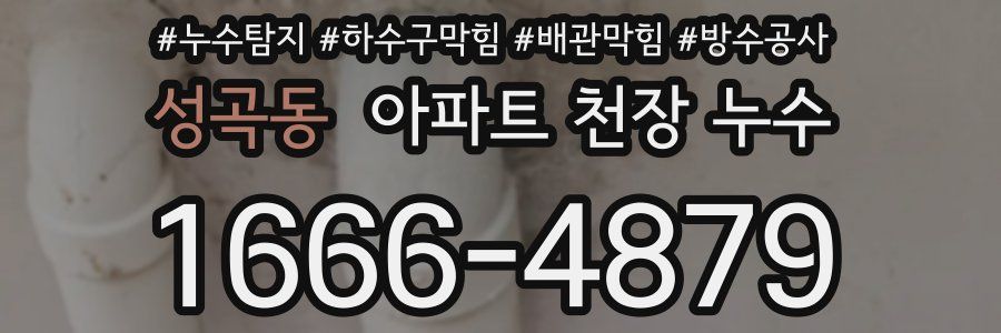 성곡동 아파트 천장 누수
