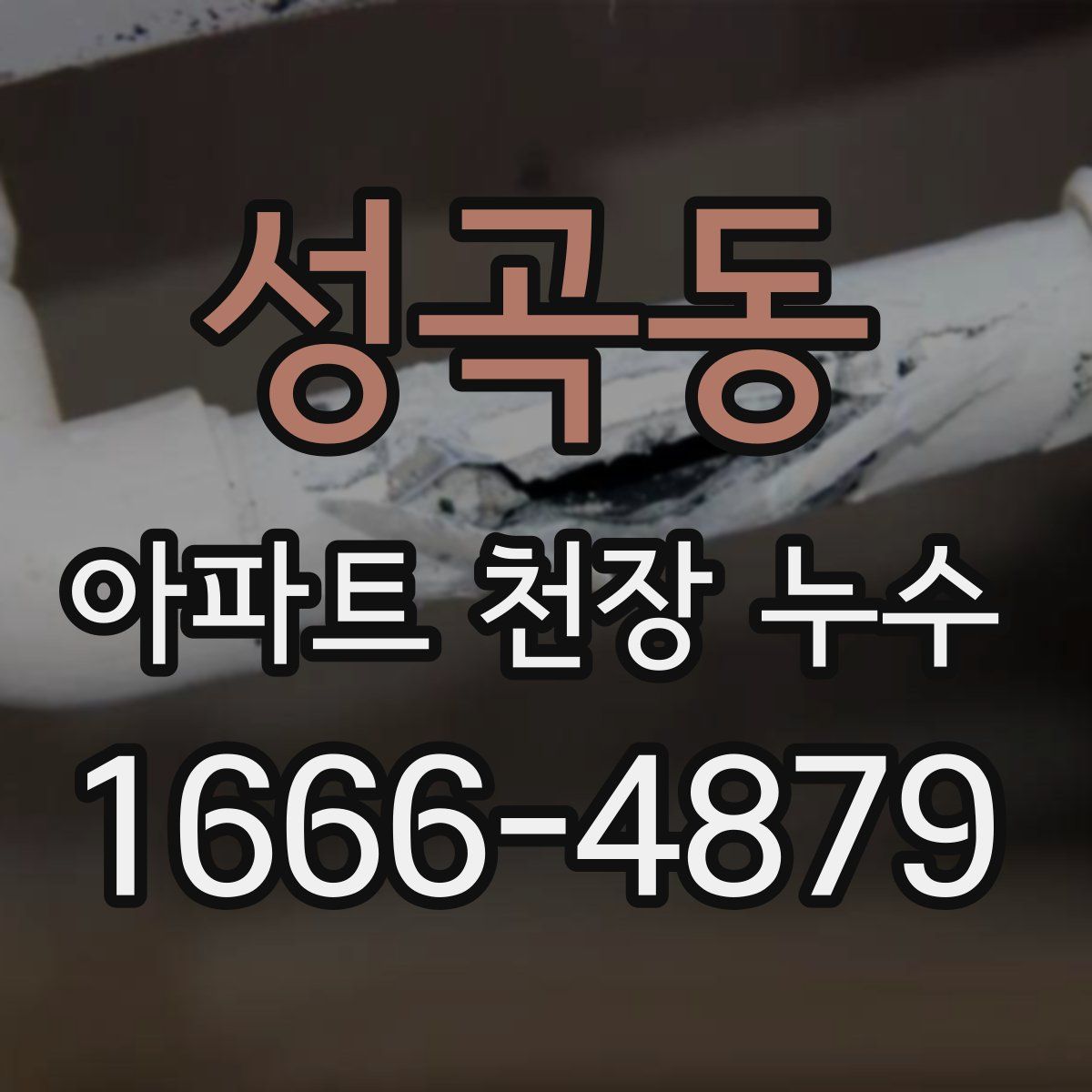 성곡동 아파트 천장 누수