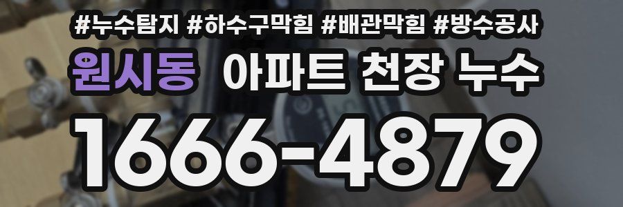 원시동 아파트 천장 누수