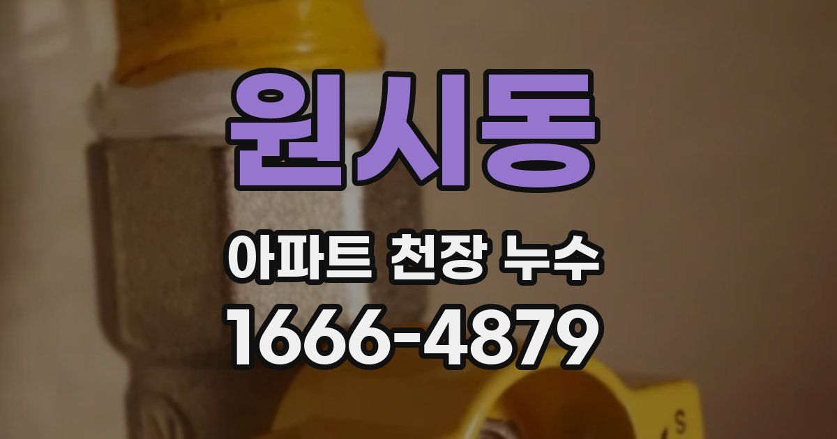 원시동 아파트 천장 누수