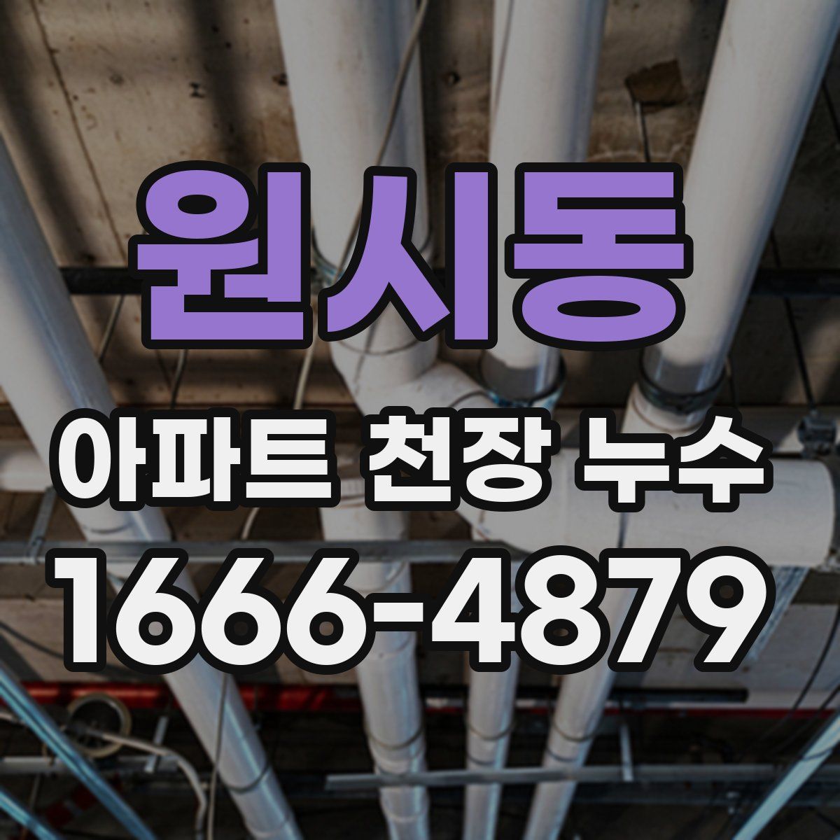 원시동 아파트 천장 누수