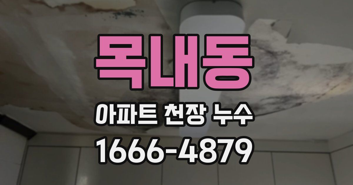 목내동 아파트 천장 누수