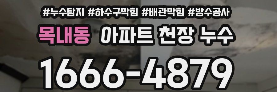 목내동 아파트 천장 누수
