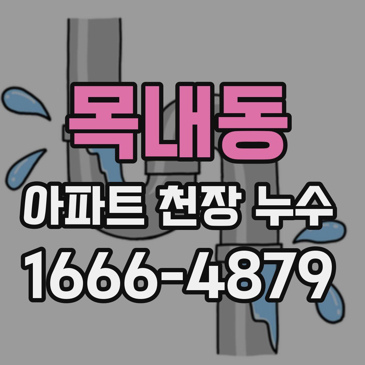 목내동 아파트 천장 누수