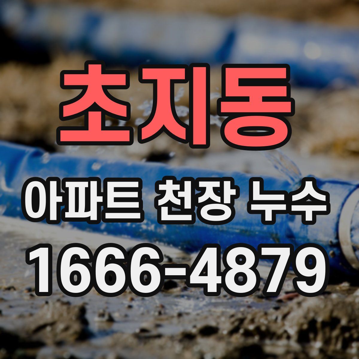 초지동 아파트 천장 누수
