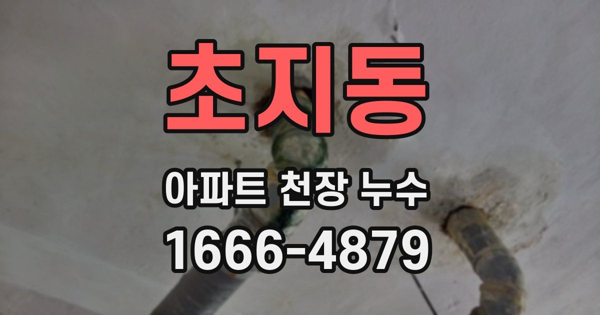 초지동 아파트 천장 누수