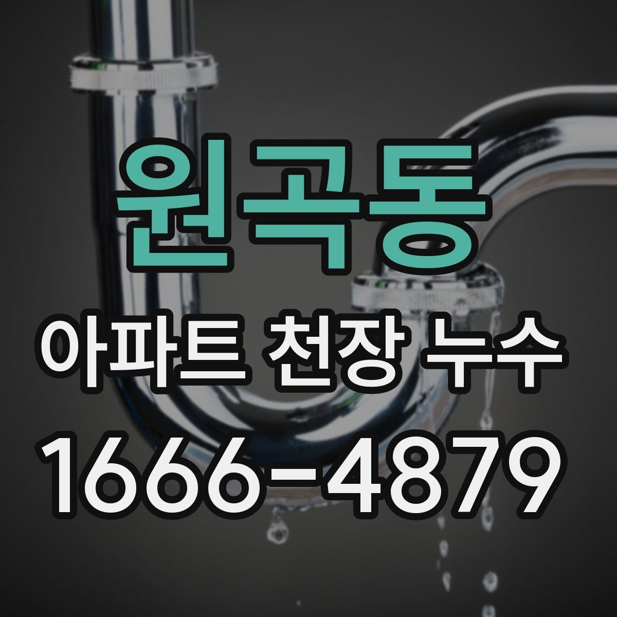 원곡동 아파트 천장 누수