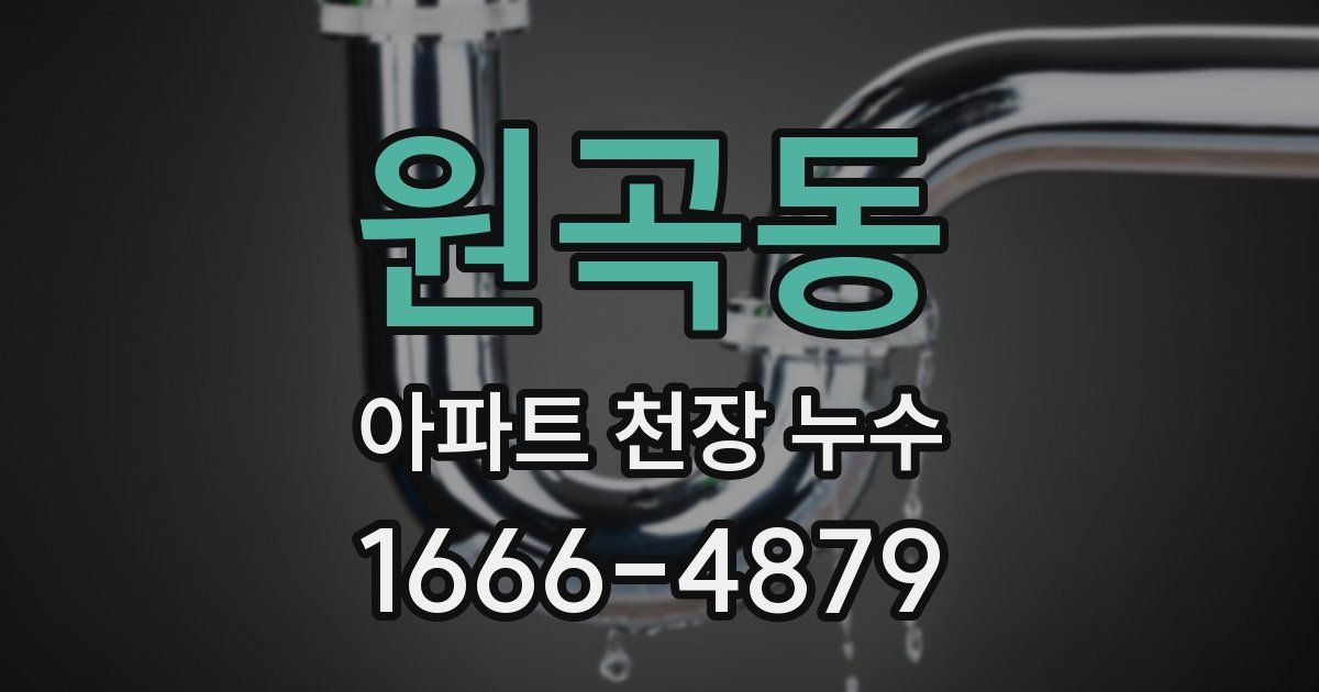 원곡동 아파트 천장 누수