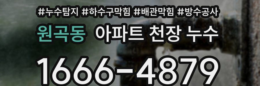 원곡동 아파트 천장 누수