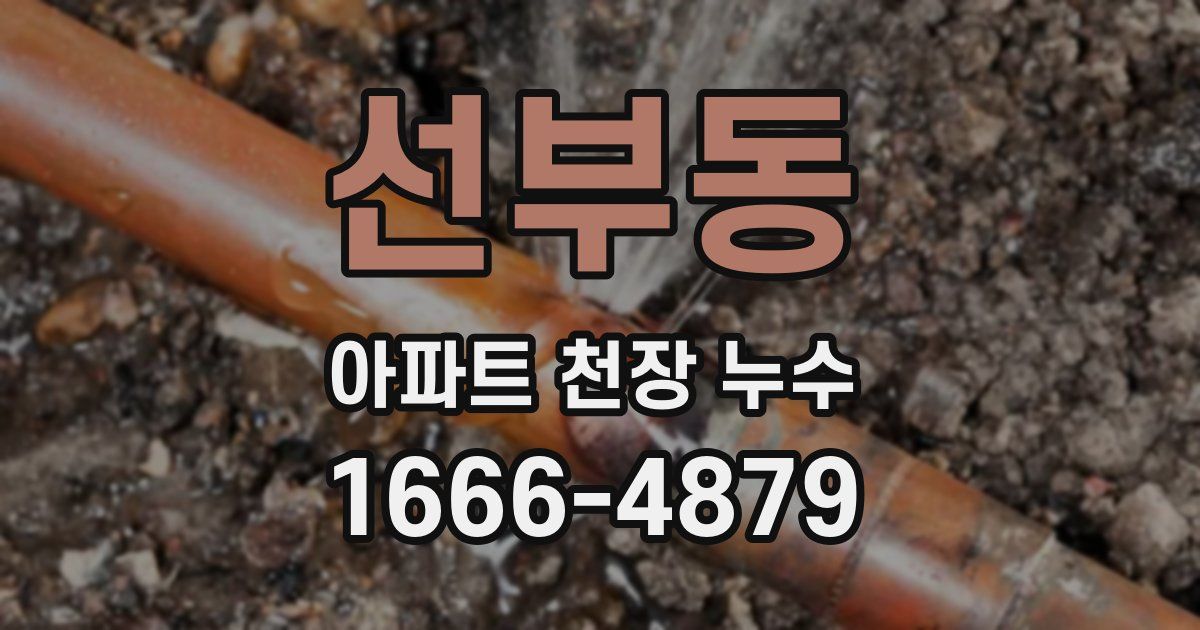 선부동 아파트 천장 누수